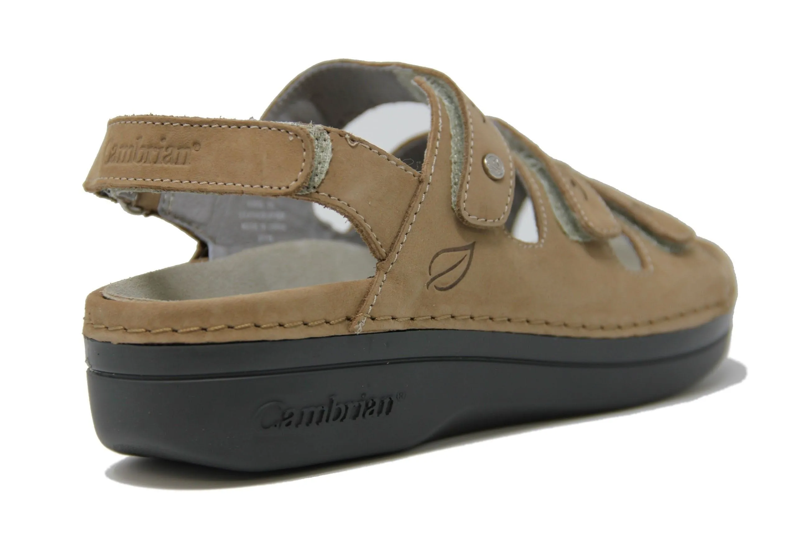 Cambrian Women's Delphi 4 Walking Sandals- Taupe