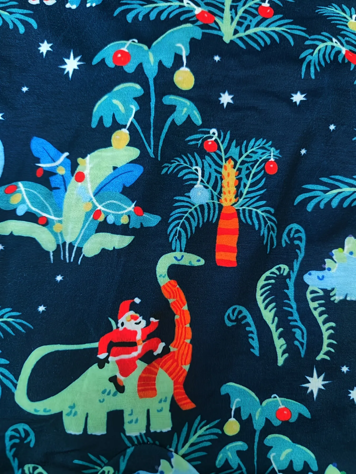 Family Matching Dinosaur Print Family Look Pajama Set