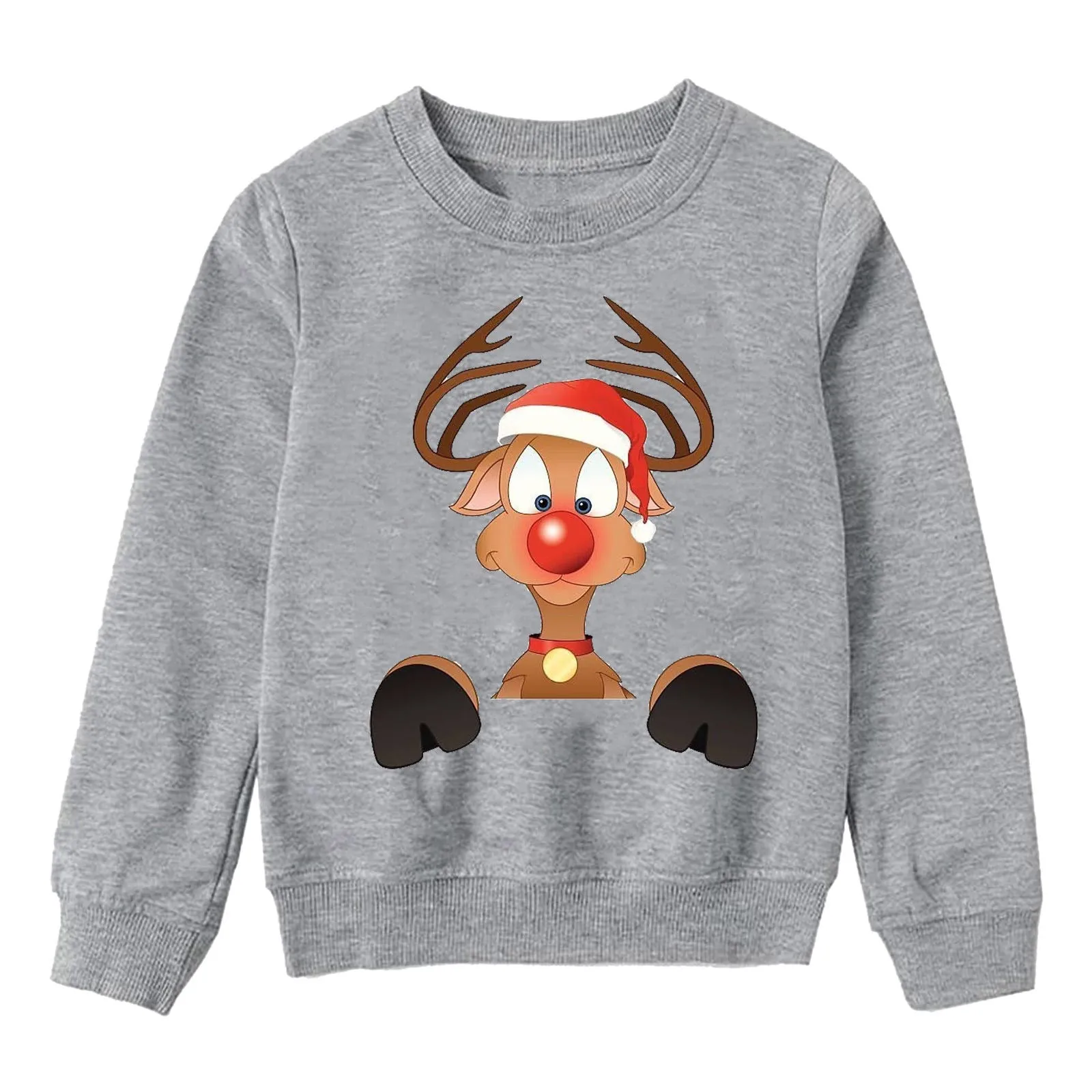Holiday Family Matching Sweater