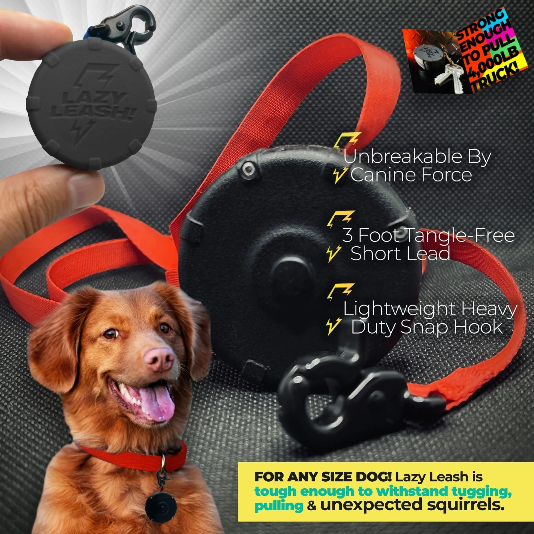 Lazy Leash - Safe & Easy 2pc Power Pack Mix
